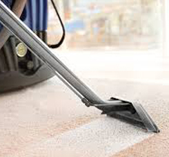 Service - Carpet Cleaning